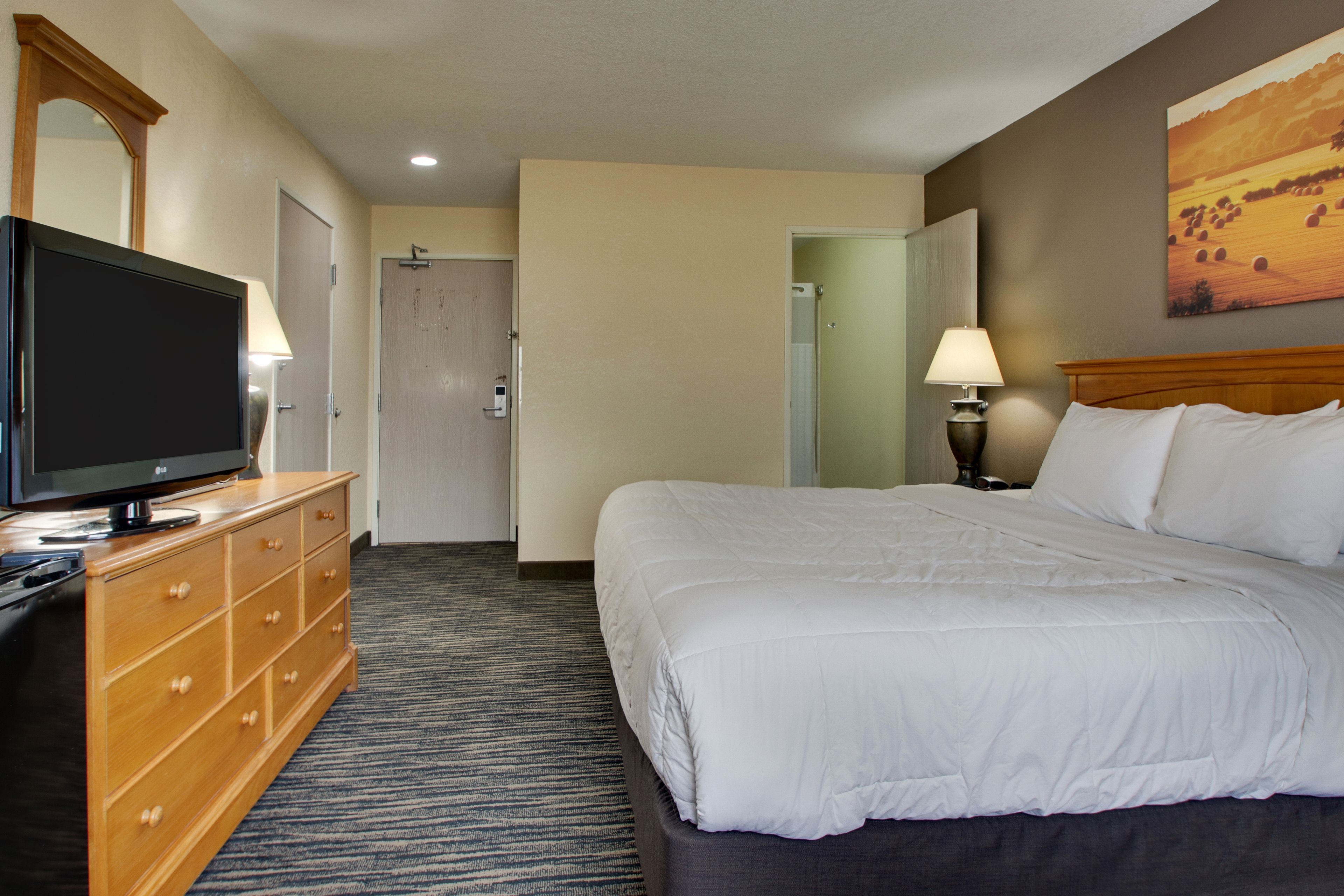 Une chambre d’hôtel avec un grand lit, un téléviseur posé sur une commode en bois et un tableau accroché au mur.