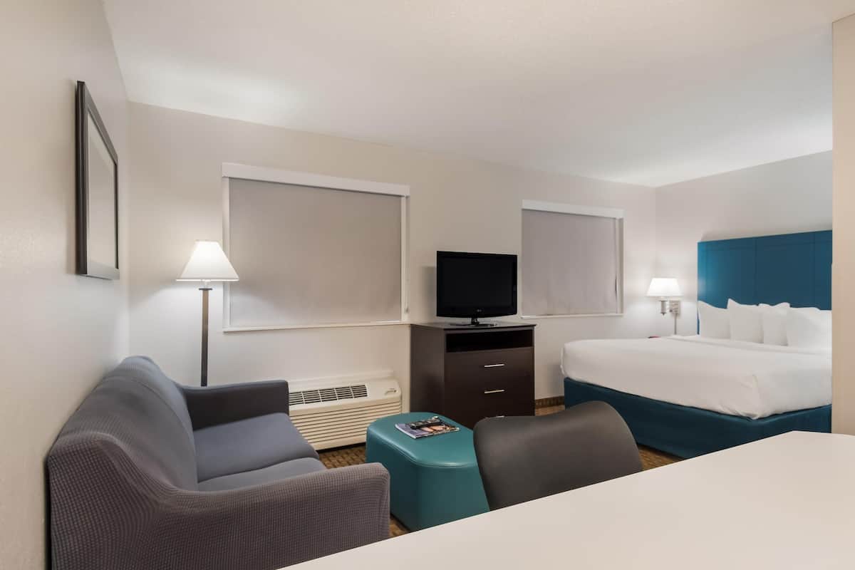 A hotel room with a bed, a desk, a chair, a television, and a heater.