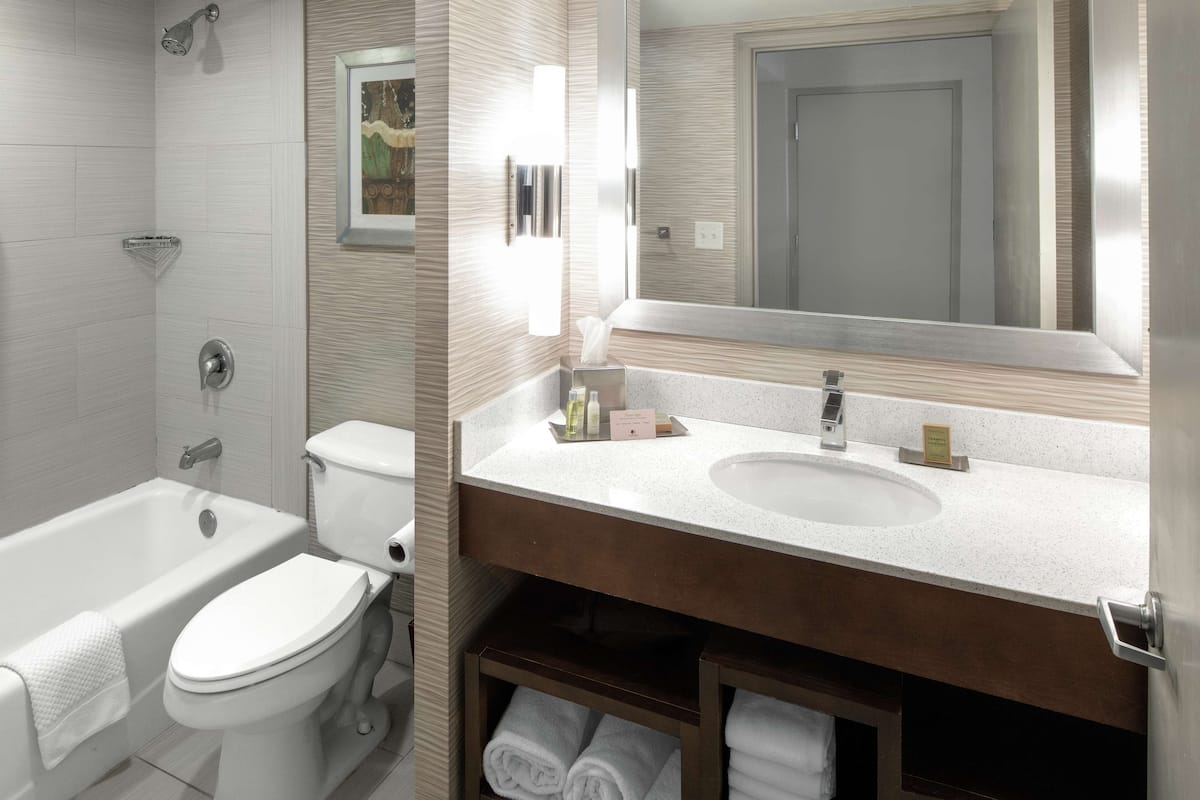 combined shower/bathtub, free toiletries, hair dryer, towels