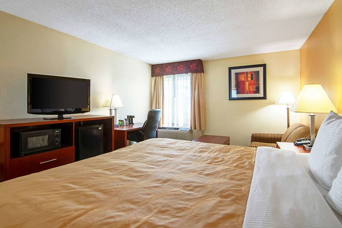 A hotel room with a bed, a desk with a television, a microwave, a chair, a desk lamp, and a framed picture on the wall.