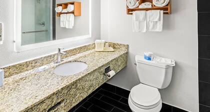 Quality Inn & Suites Richburg I-77