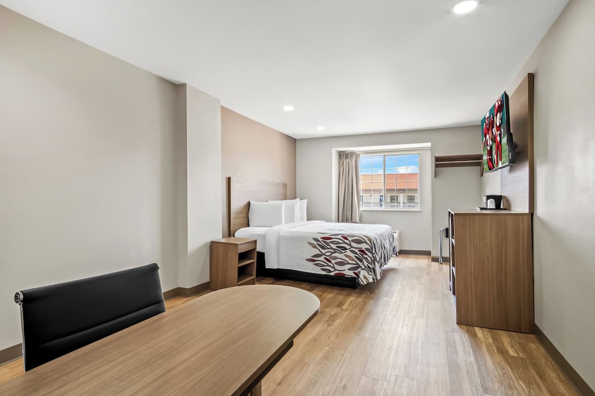 Una habitación de hotel moderna con suelo de madera, una cama con cubrecama estampado, un escritorio, una silla, un radiador, un armario y una ventana con cortinas.