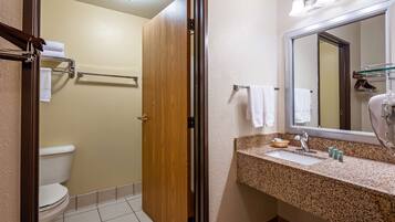 A bathroom with a toilet, a sink with a mirror, and a shower area.