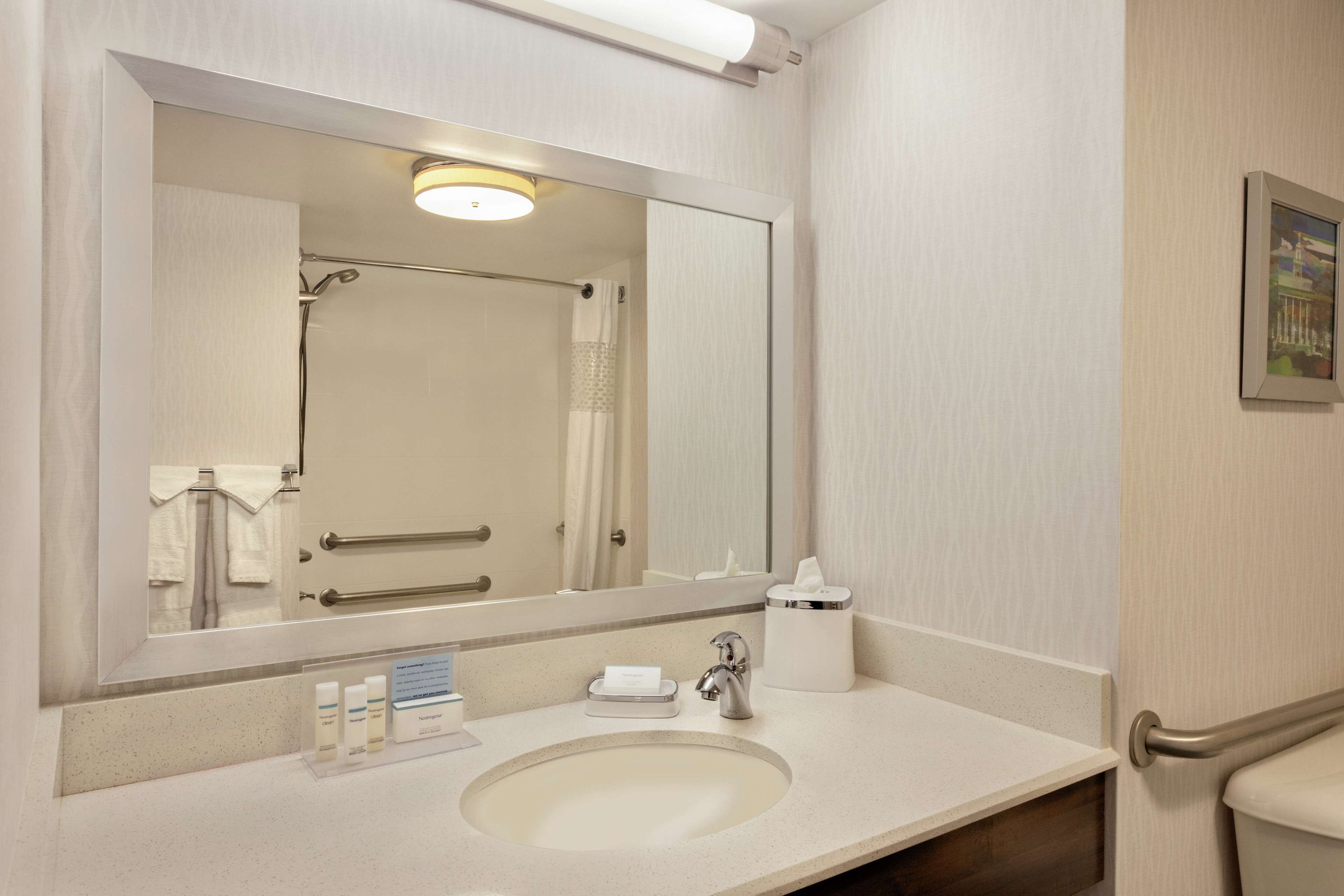 room, 1 king bed, accessible, bathtub | bathroom | combined shower/bathtub, free toiletries, hair dryer, towels