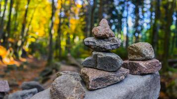 A stack of rocks in a forest.