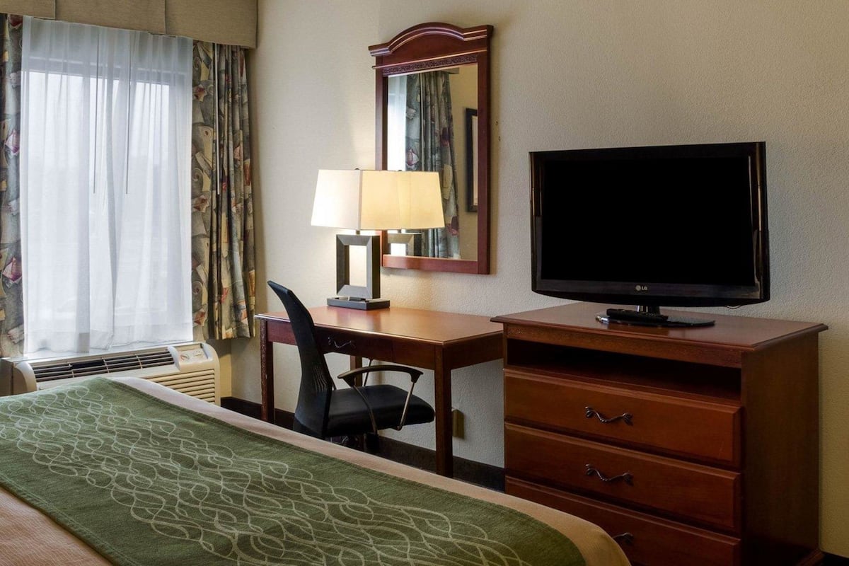 Minibar, desk, iron/ironing board, free WiFi