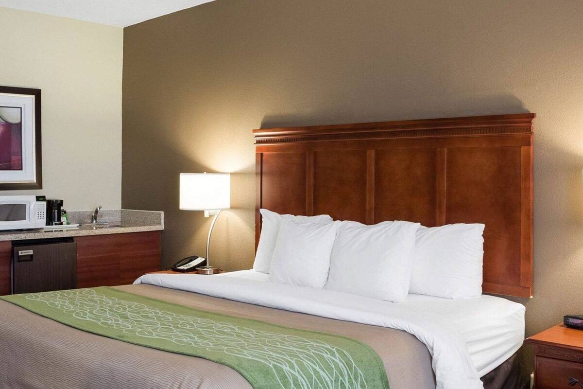 A hotel room with a bed, a bedside table, a lamp, a microwave, and a telephone.