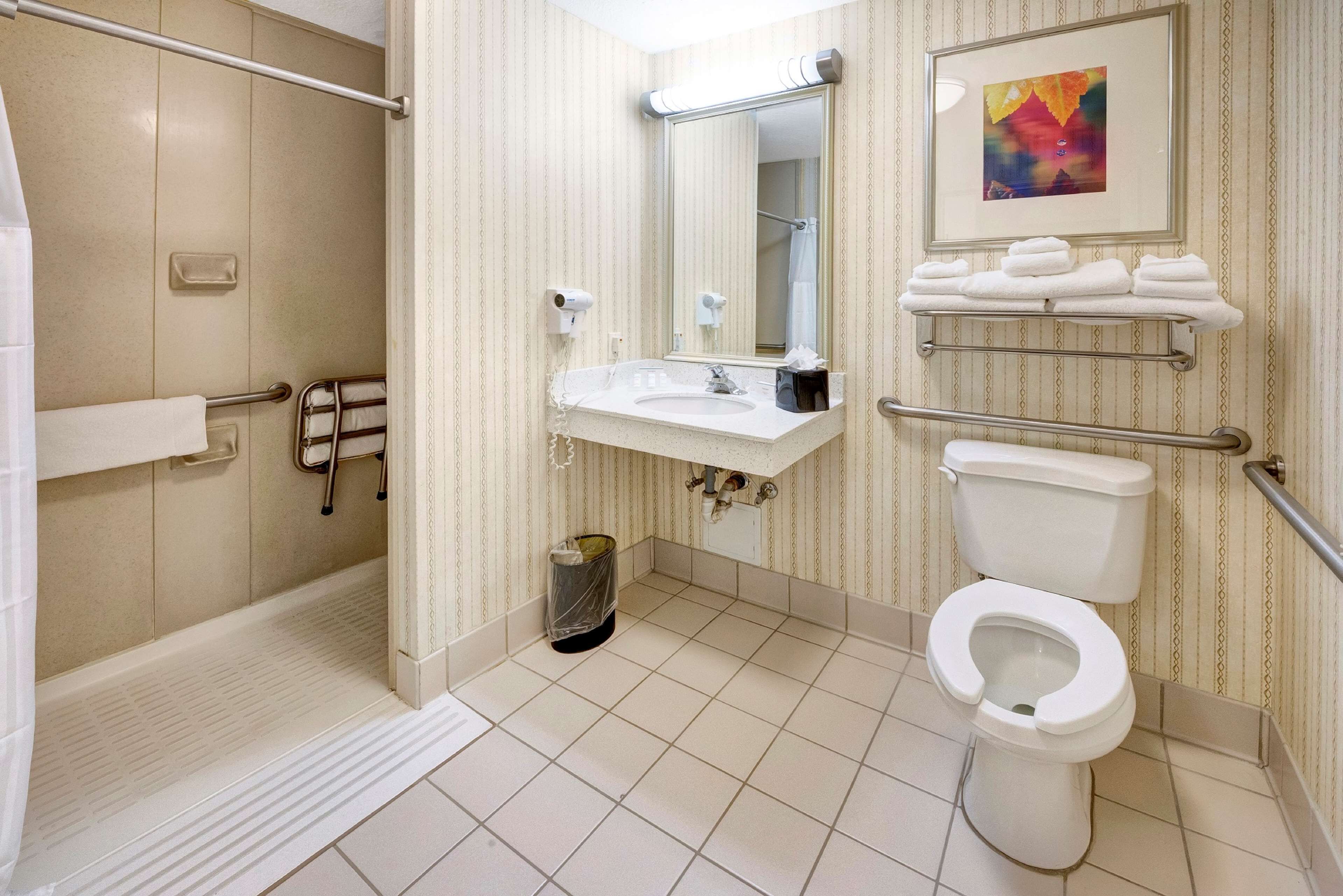 room, 2 double beds, accessible (mobility/hearing, roll in shower) | bathroom shower