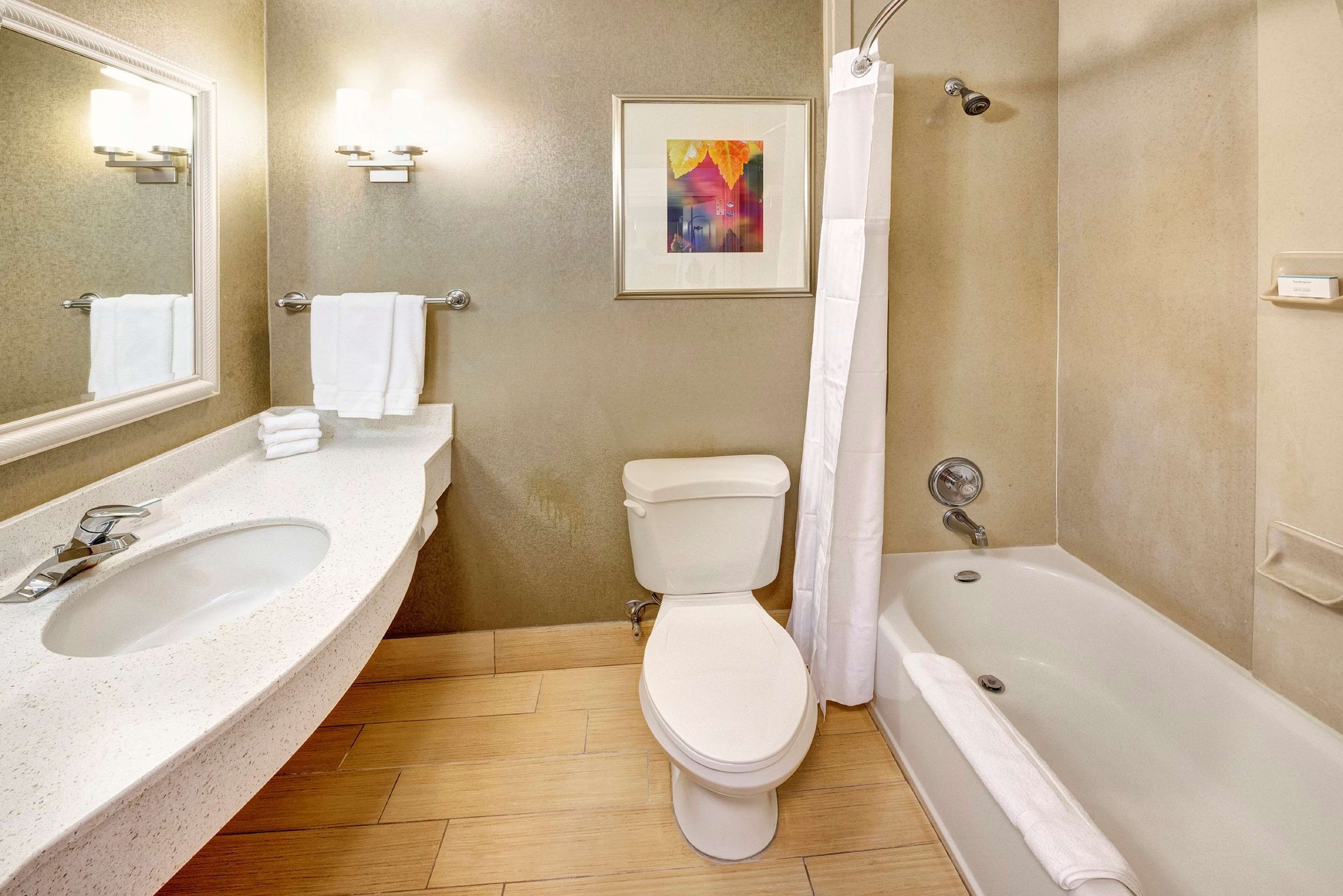 room, 1 king bed | bathroom | free toiletries, hair dryer, towels, soap