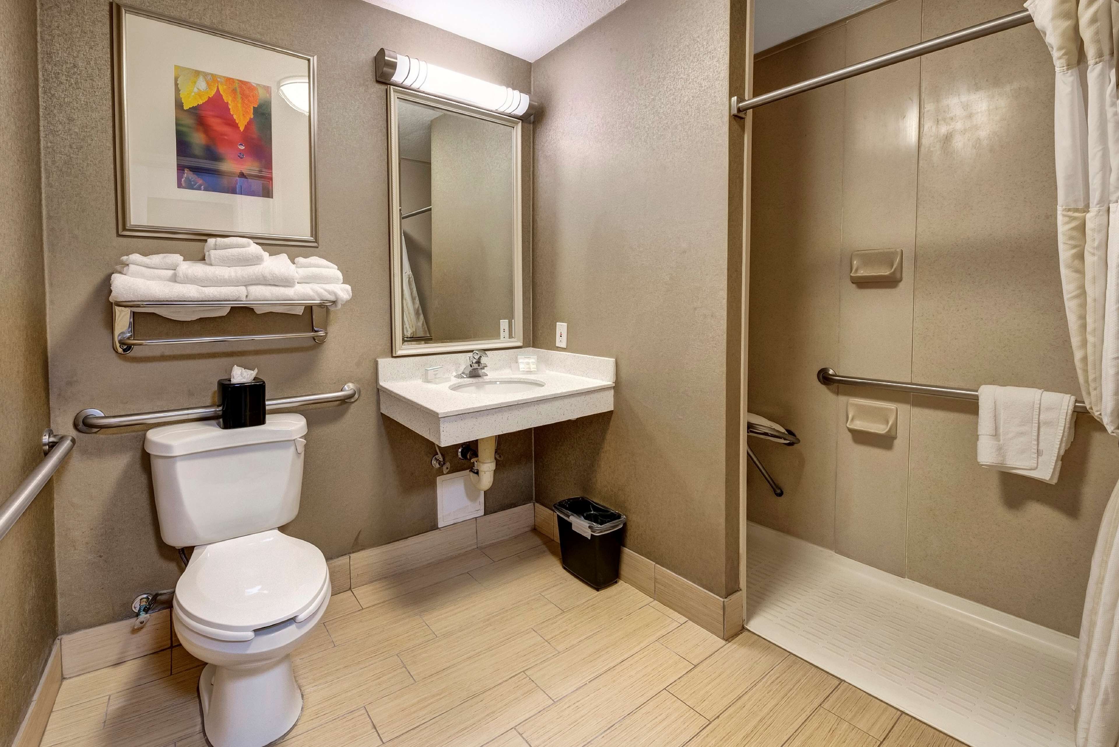 room, accessible | bathroom shower