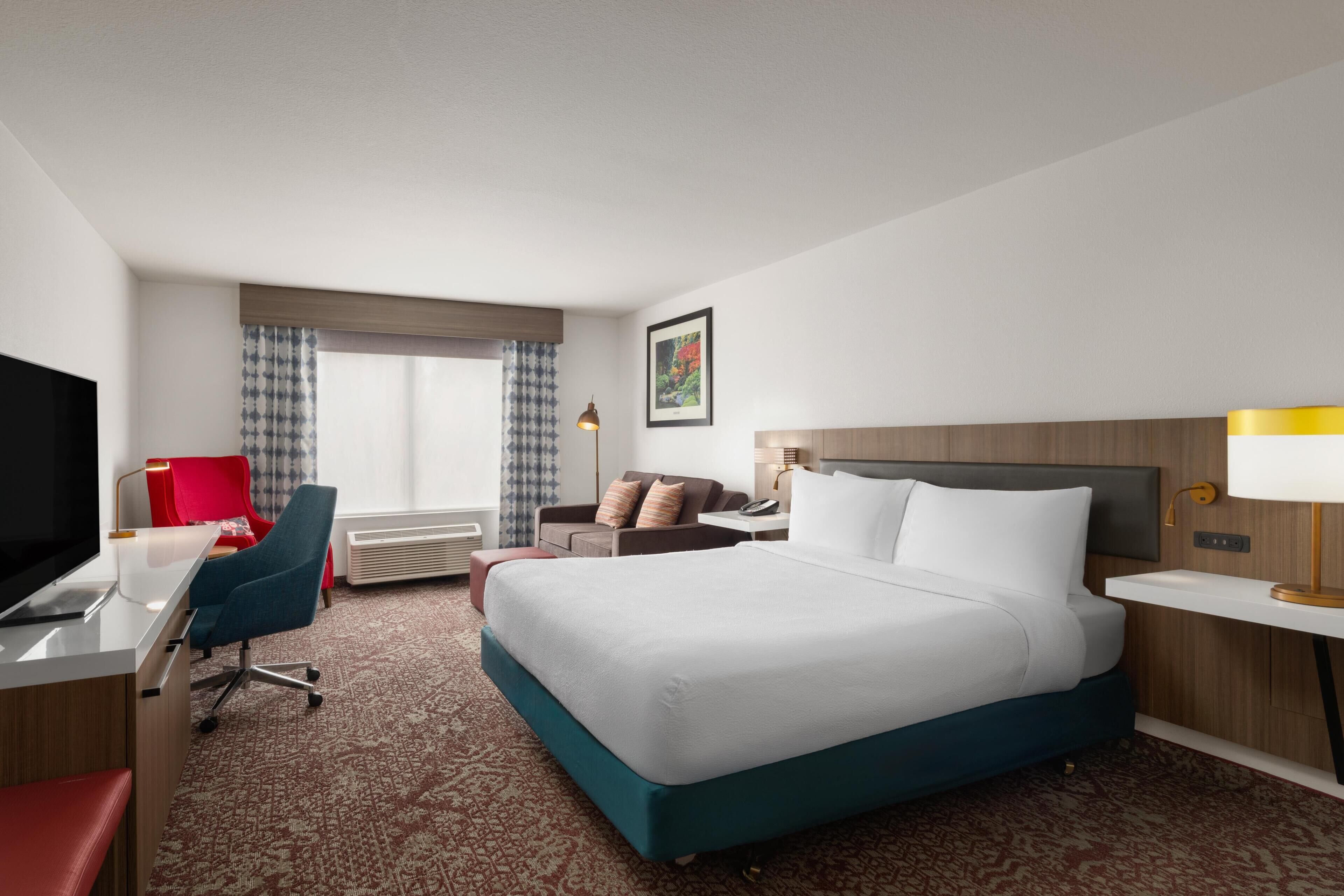 Room, 1 King Bed
