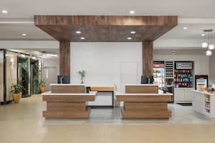 Zona de recepción con un mostrador de madera, una planta en maceta y una pared con diseño ondulado.