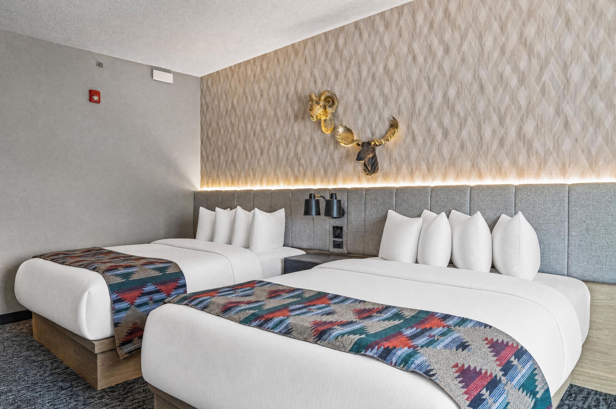 A hotel room with two beds, a patterned throw blanket, a wall-mounted moose head decoration, and a textured wall.