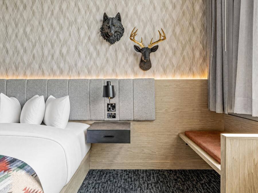 A modern hotel room with a bed, a nightstand, a lamp, and a headboard with wall-mounted decor.