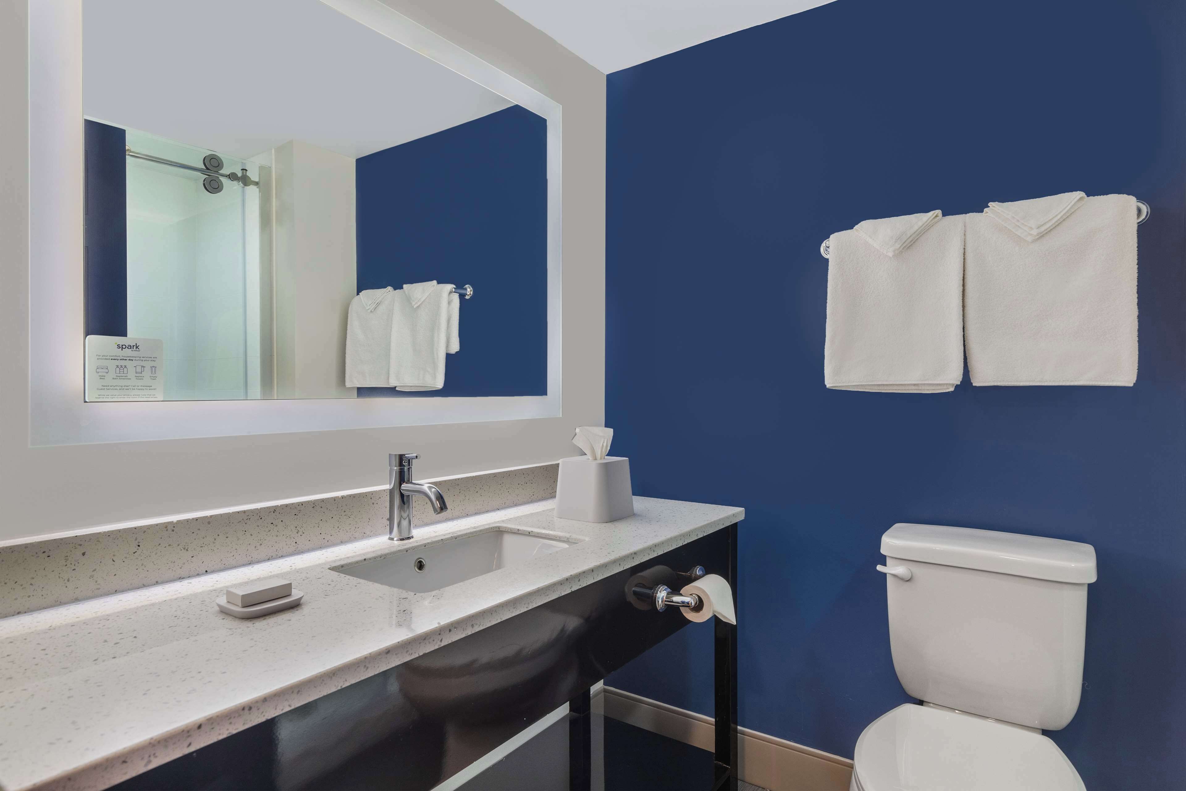 combined shower/bathtub, free toiletries, hair dryer, towels