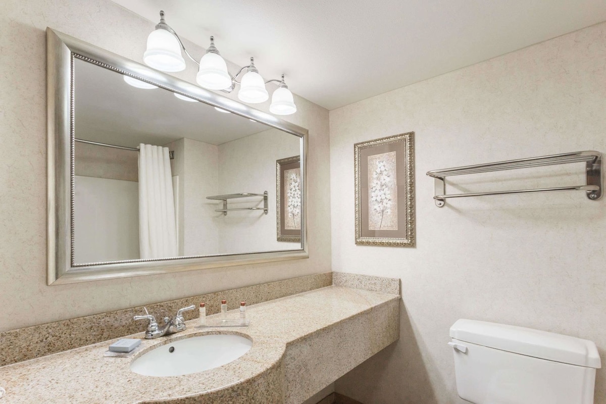A bathroom with a large mirror, a sink, a toilet, and a towel rack.