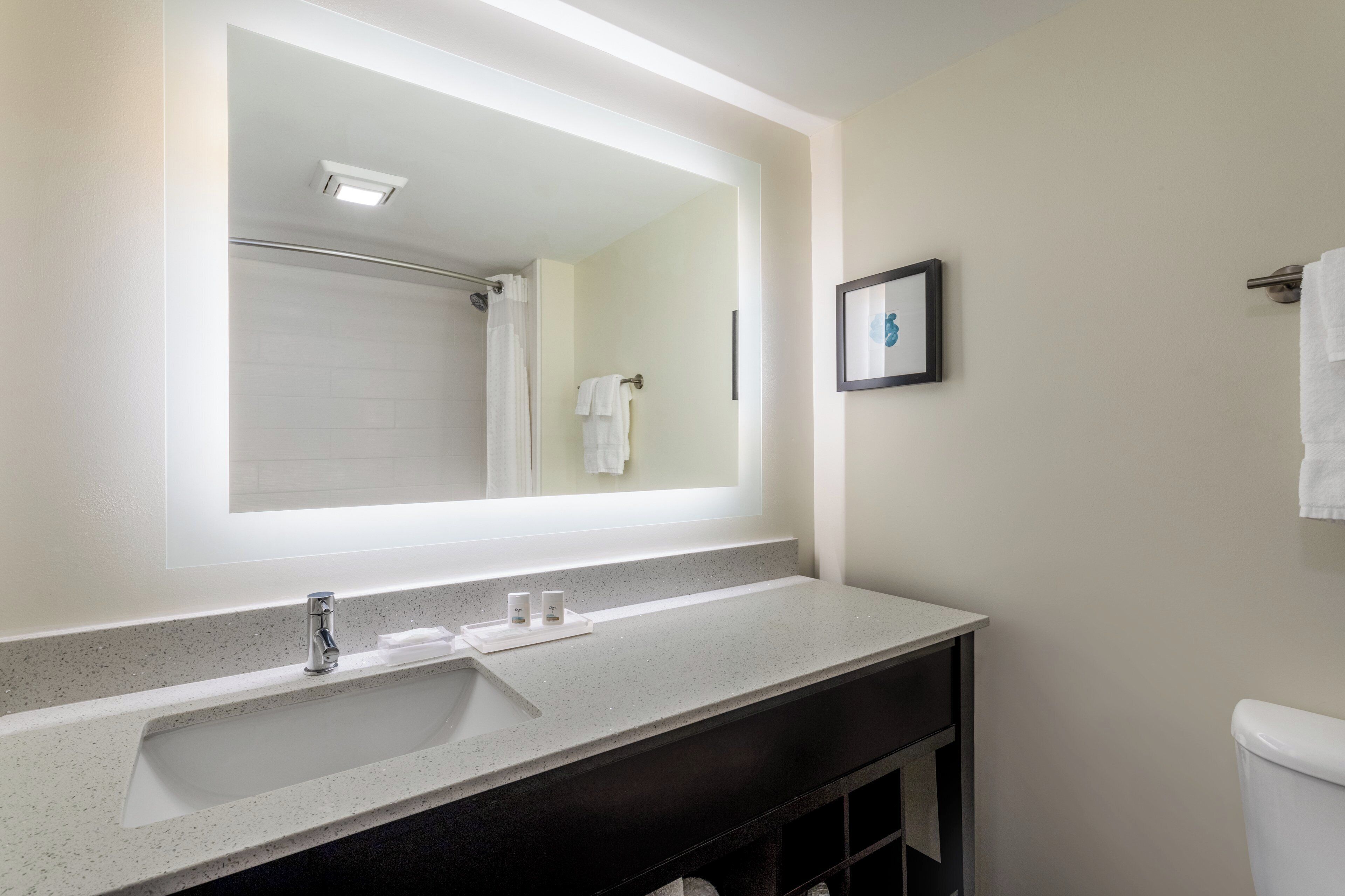 A bathroom with a large mirror, a sink, a toilet, and a framed picture on the wall.