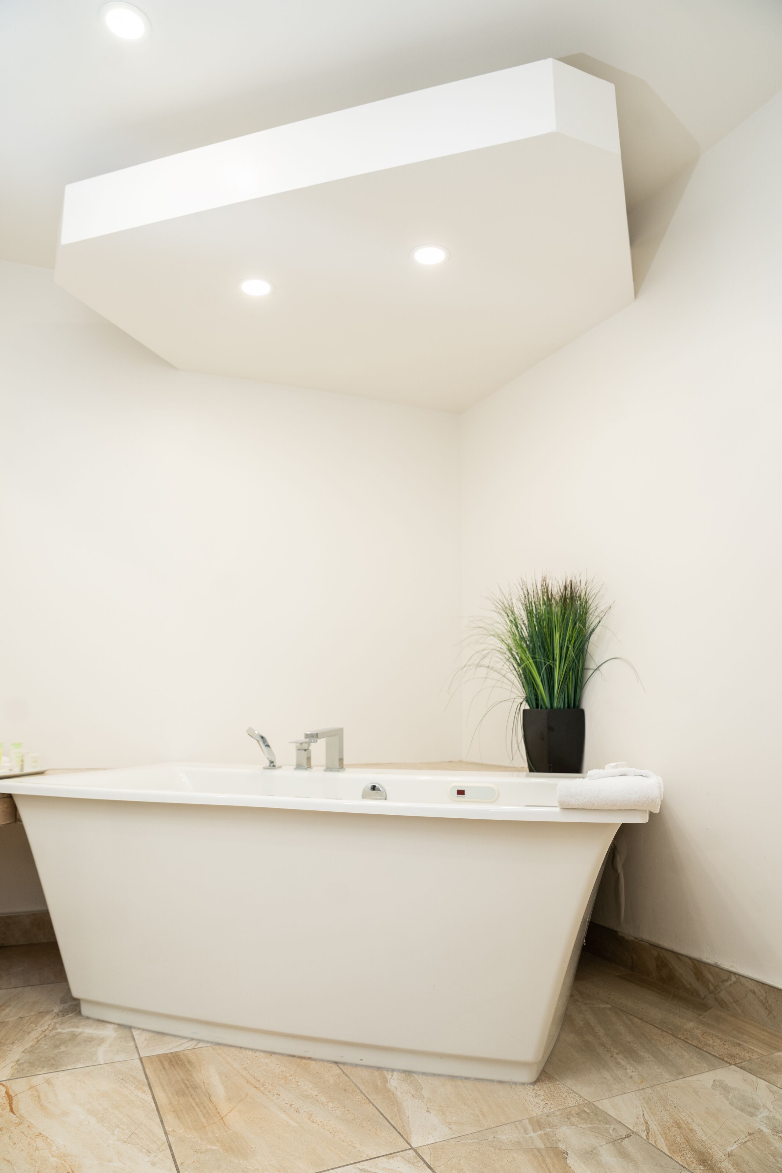 Un baño moderno con una bañera independiente, una planta en maceta e iluminación empotrada en el techo.