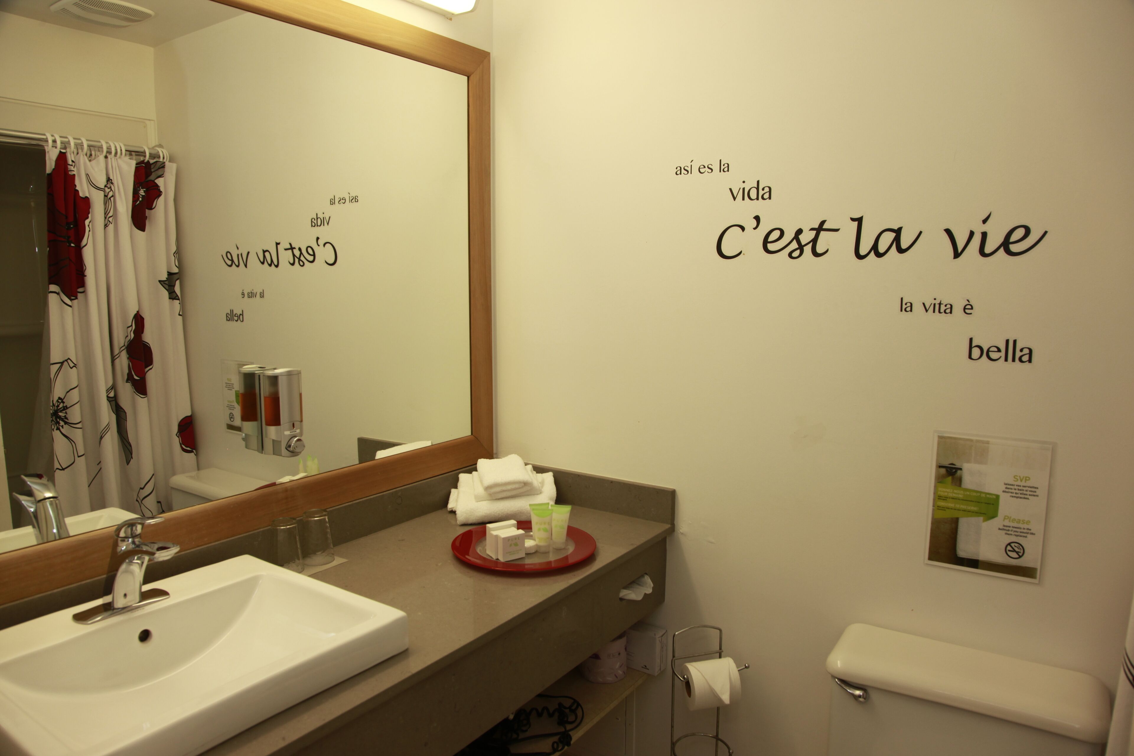 Une salle de bain avec un lavabo, un miroir et des articles de toilette. On peut voir des expressions françaises sur le mur et une pancarte sur les toilettes.