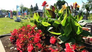 花園景