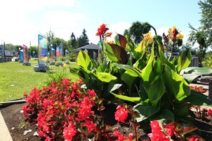 Un jardín con flores rojas y follaje verde, un pabellón y un edificio con banderas al fondo.