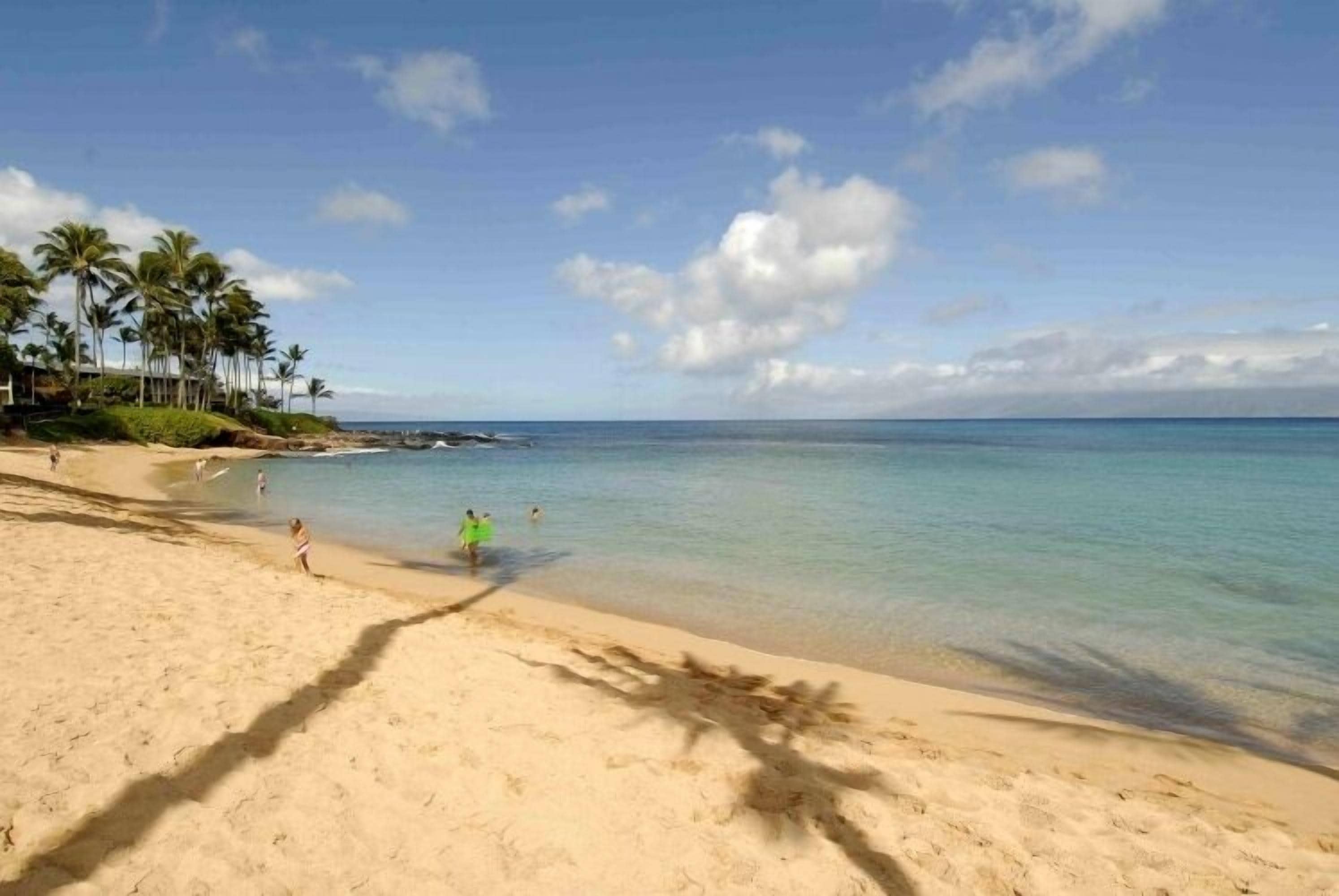 A beach with clear water, palm trees, and a few people.