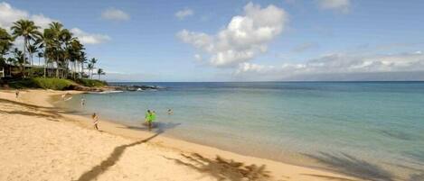 A beach with clear water, palm trees, and a few people.