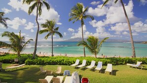 Un resort frente a la playa, con palmeras, sillas de descanso y vista al océano.