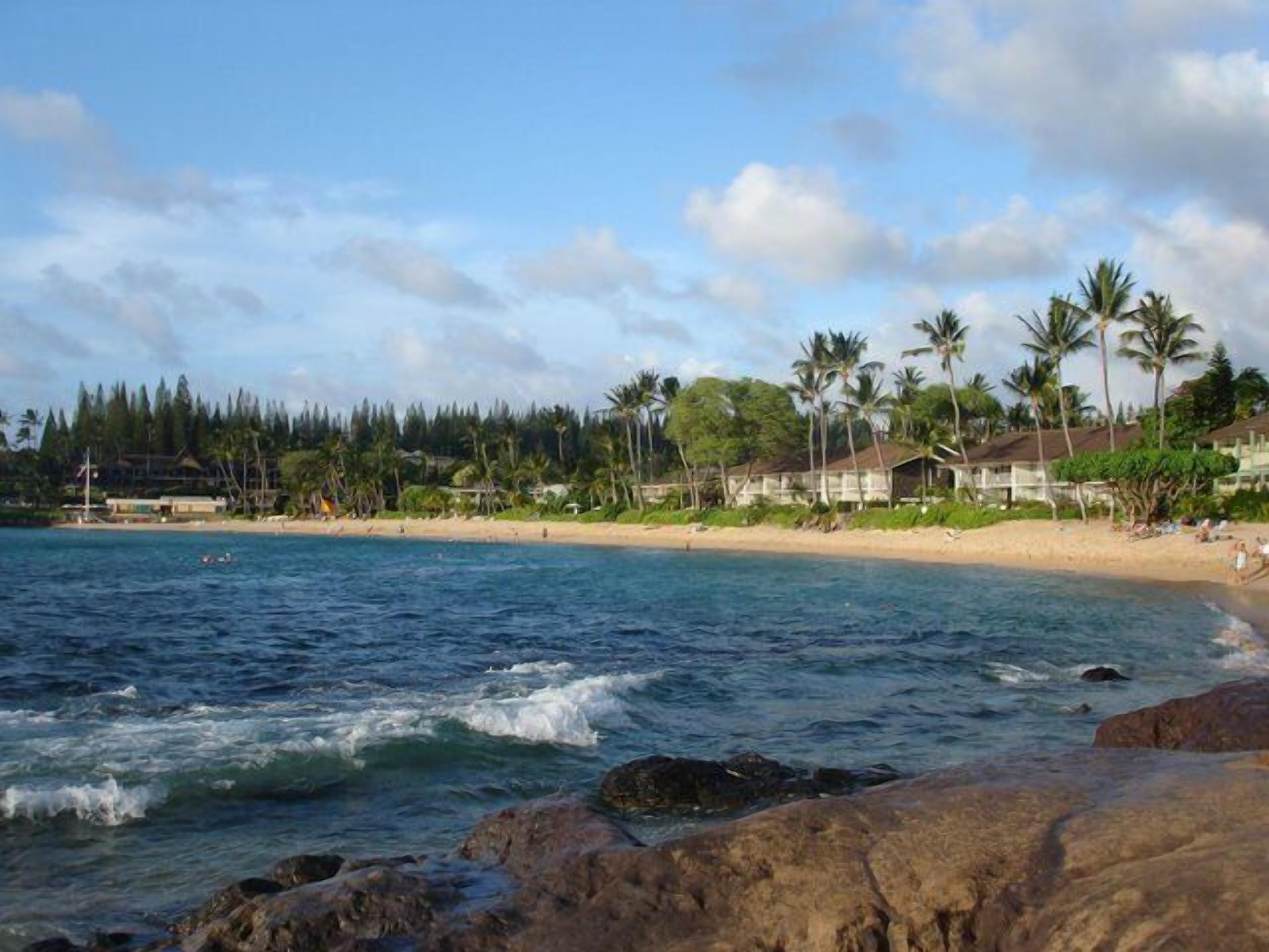 Una playa con agua azul cristalina, costa rocosa y palmeras.