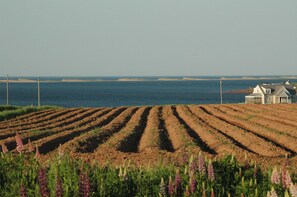 Ranta
