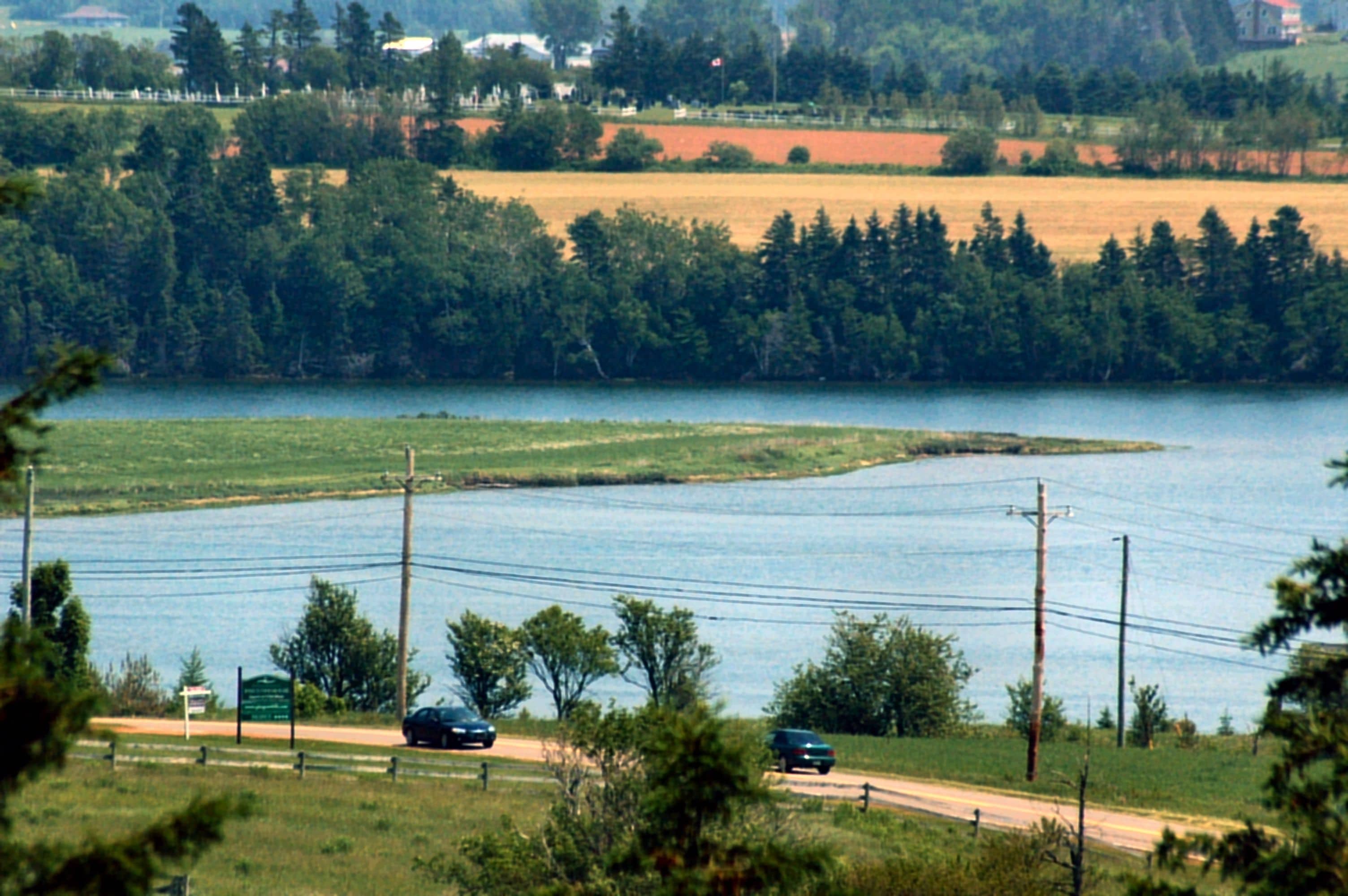 A view of a lake with a road and cars, surrounded by trees and fields.