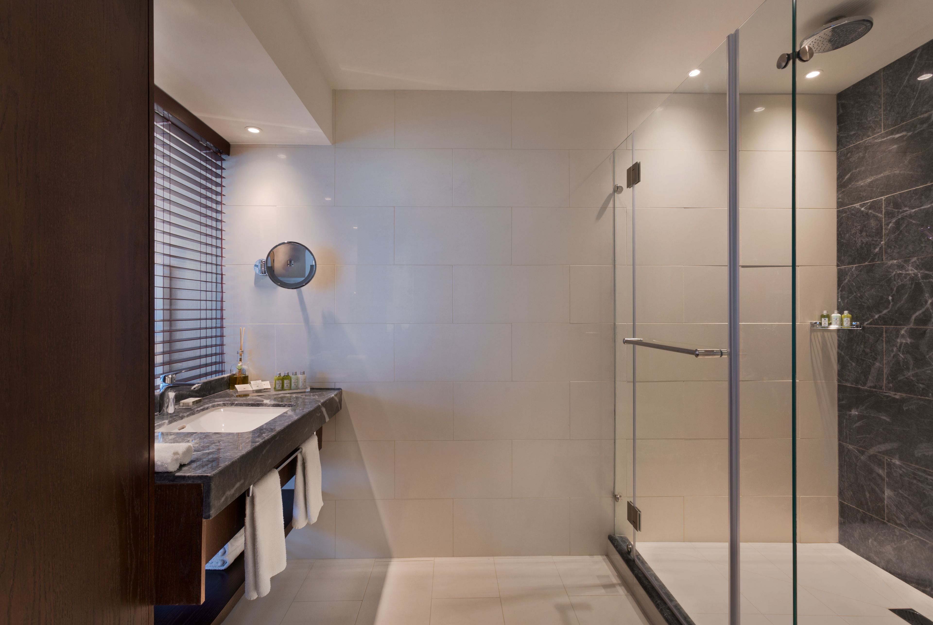 shower, rainfall showerhead, free toiletries, hair dryer