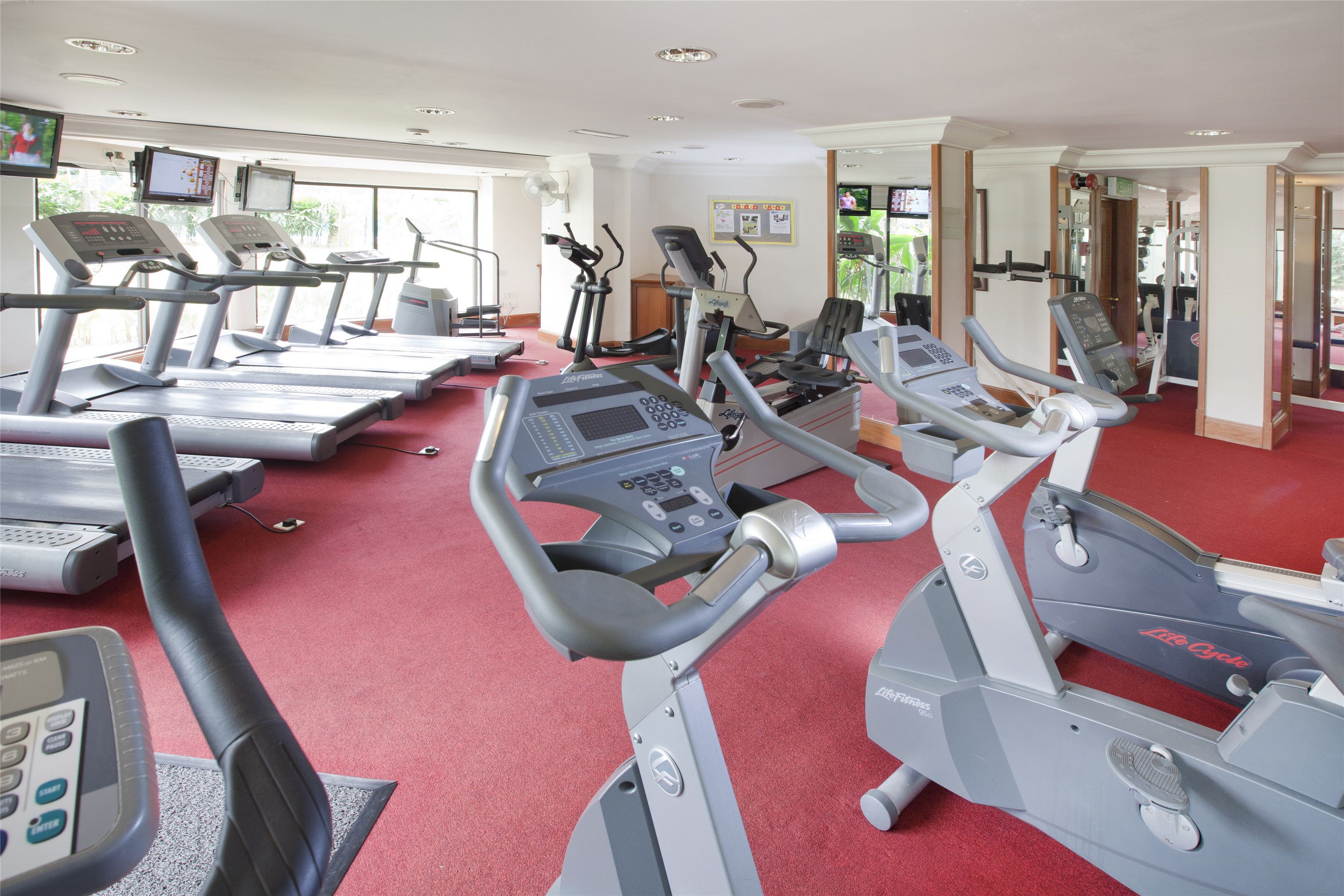 Ein Fitnessstudio mit mehreren Laufbändern und Ergometer, einem roten Teppichboden und großen Fenstern, die natürliches Licht hereinlassen.