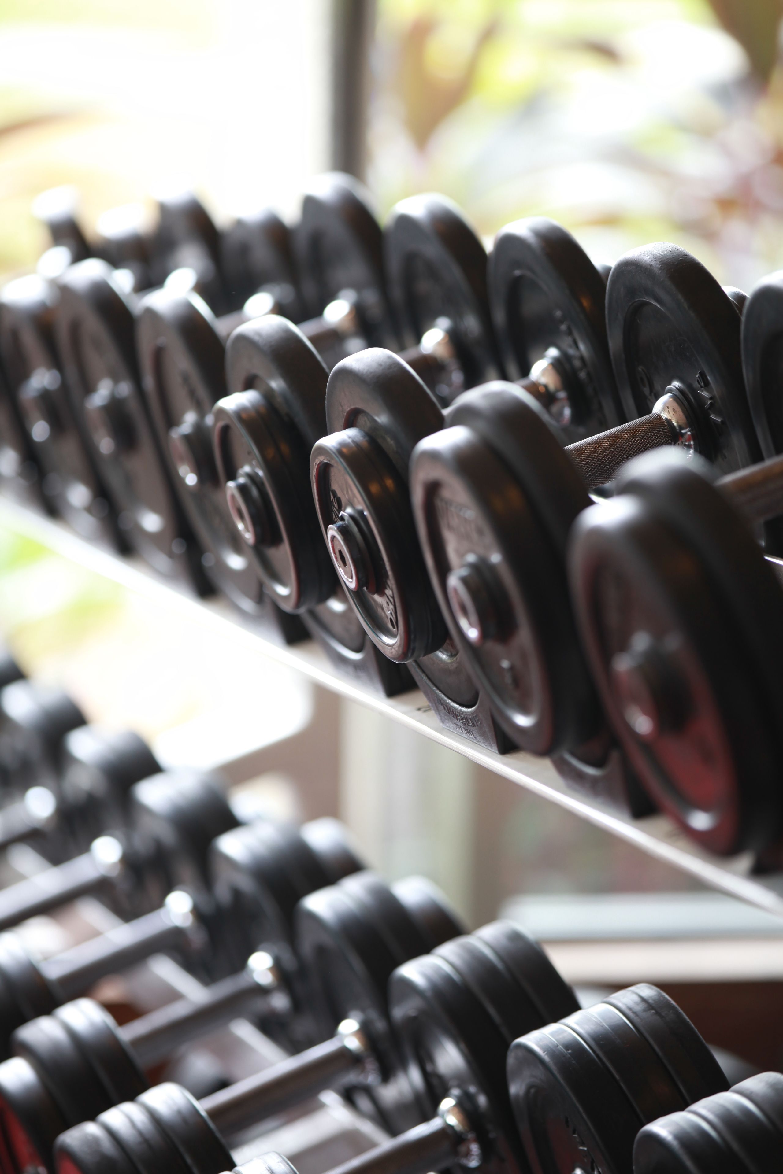 A row of black dumbbells on a rack.