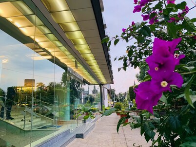 Hotel Benidorm Mexico City