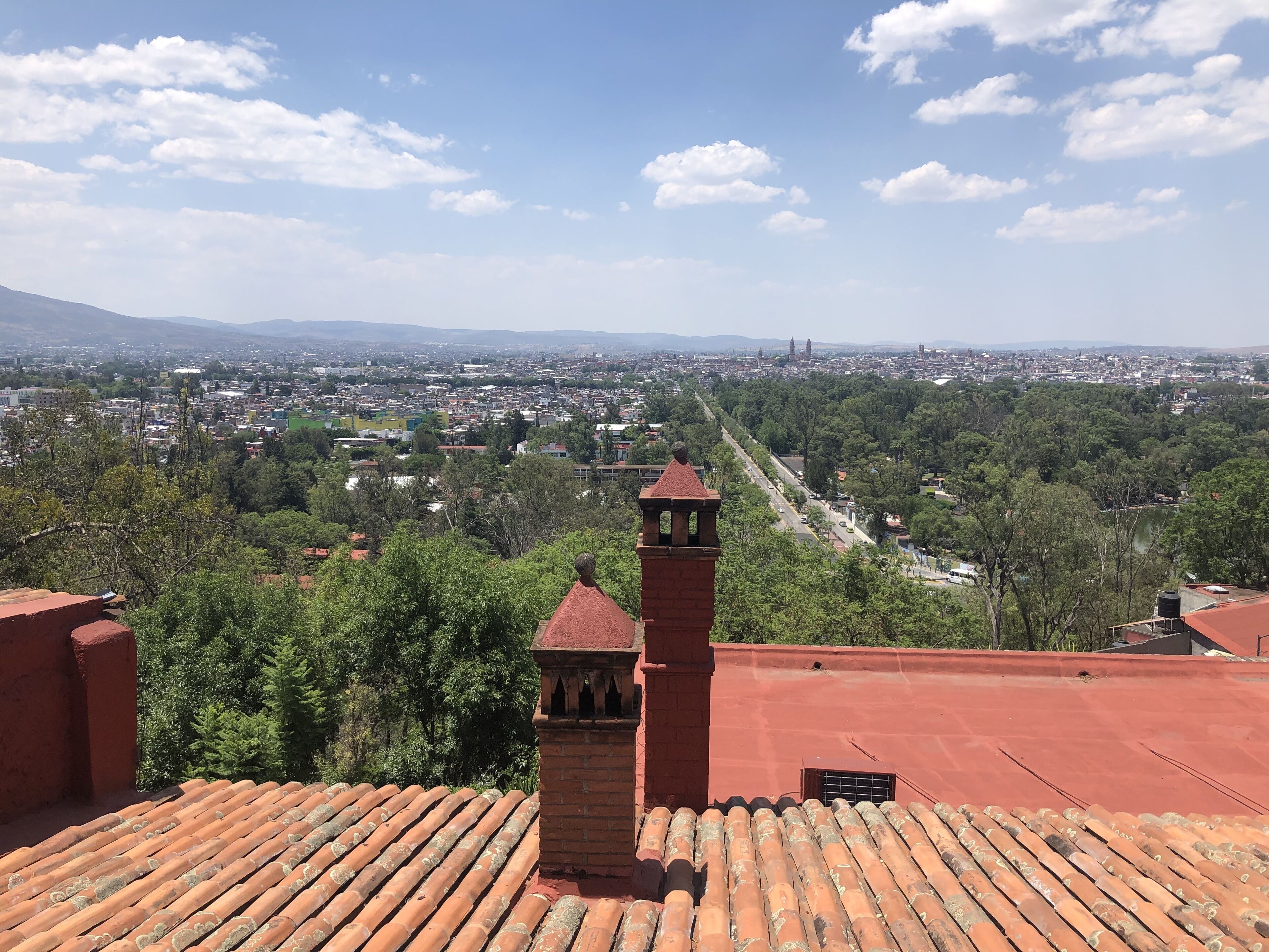 junior double room, 1 king bed, garden view | city view