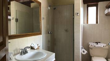 A bathroom with a sink, mirror, shower, and toilet.