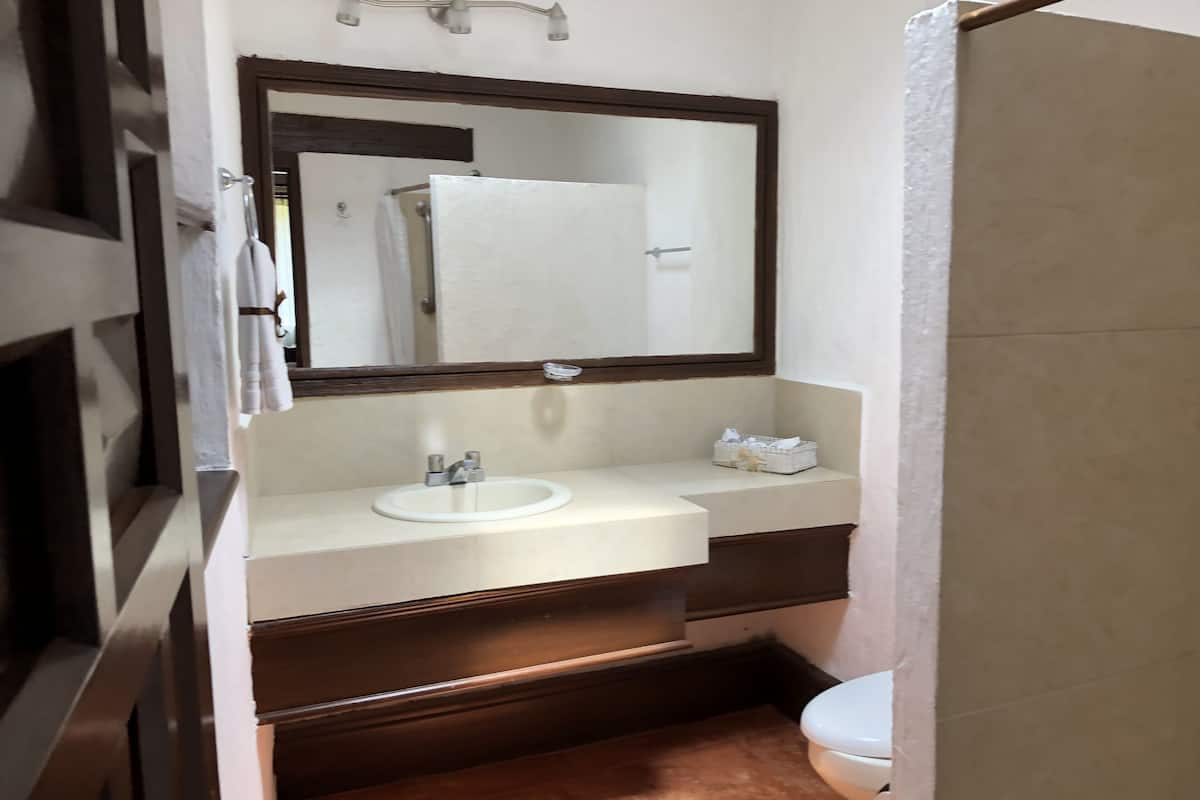 standard double room, 1 king bed | bathroom | shower, free toiletries, hair dryer, towels