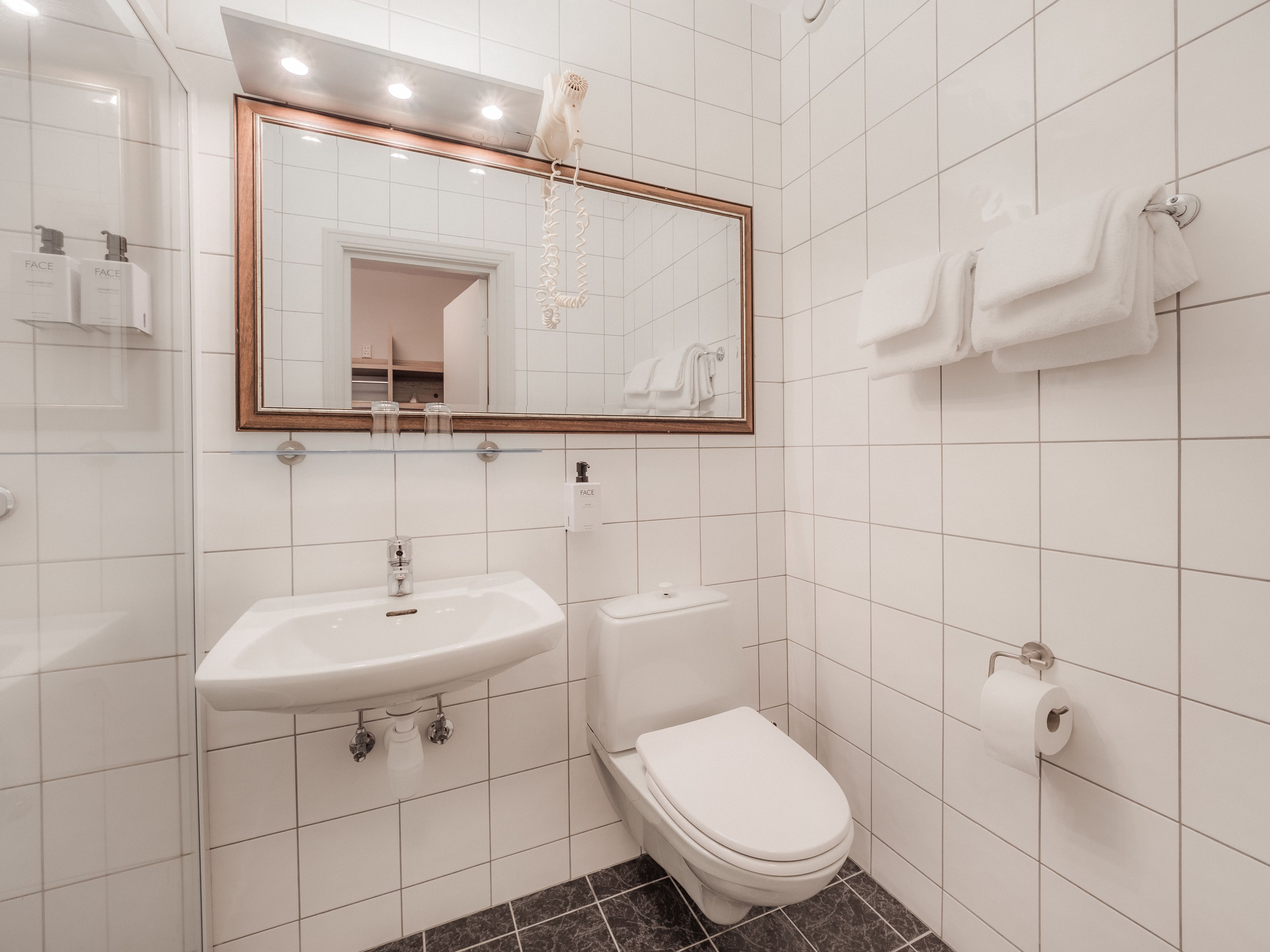 Et moderne badeværelse med en hvid vask, toilet og spejl. Der er to shampoo flasker på vasken og en håndklædestang med håndklæder.