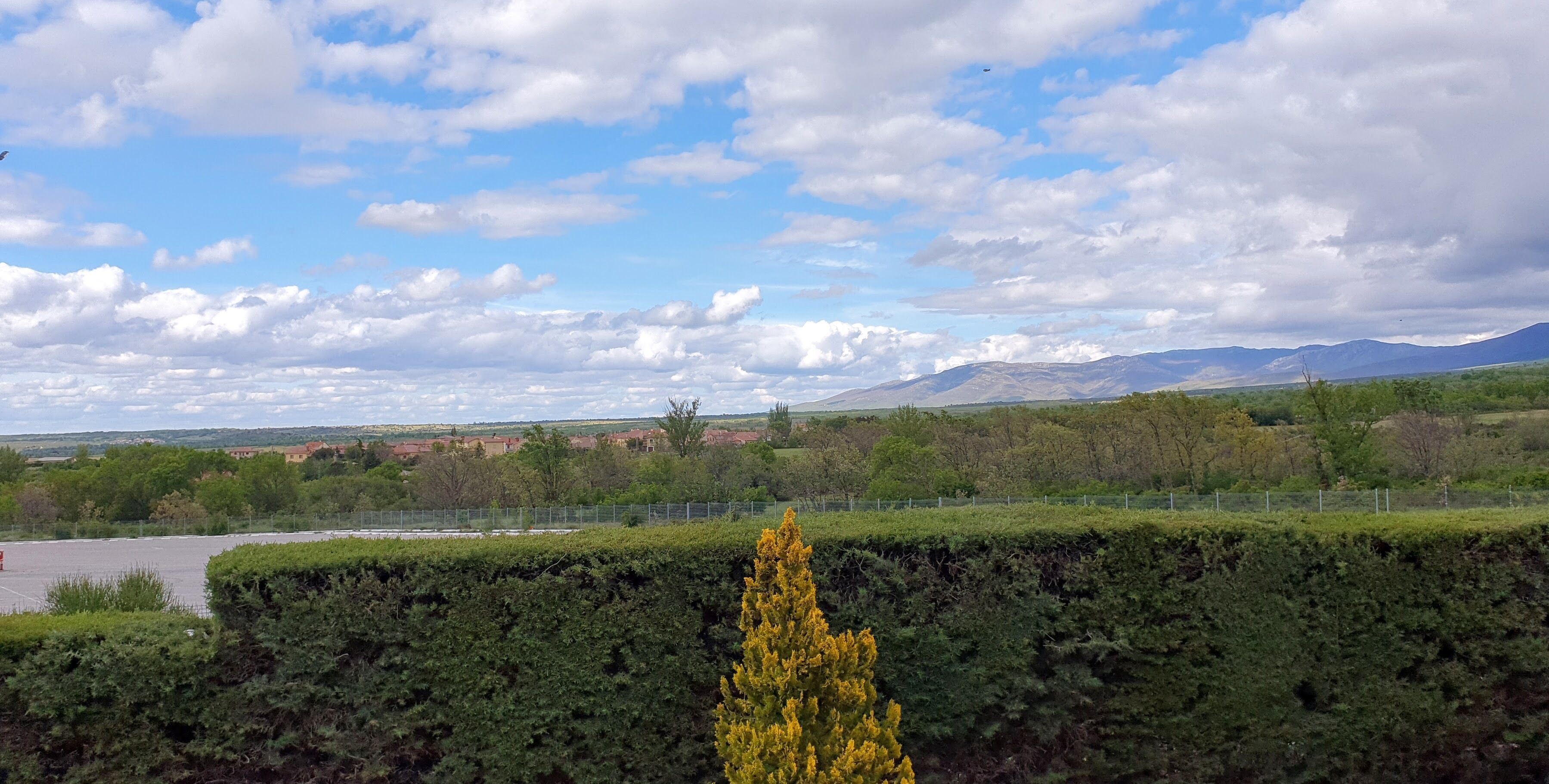 A landscape with a hedge, a yellow tree, and distant mountains under a partly cloudy sky.