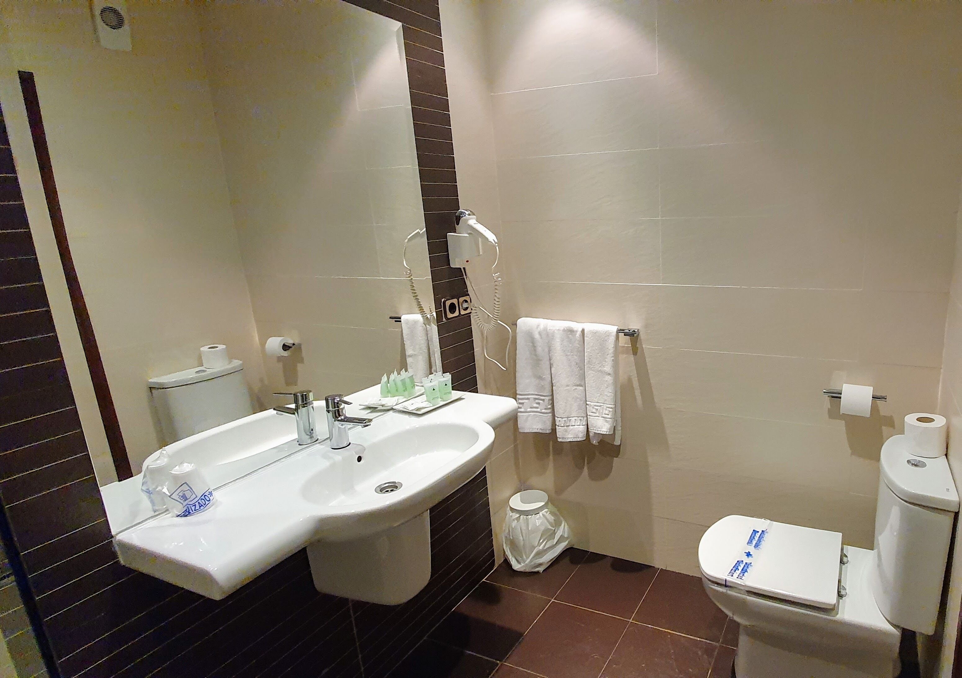 Un baño con lavamanos, espejo, inodoro y toallero.