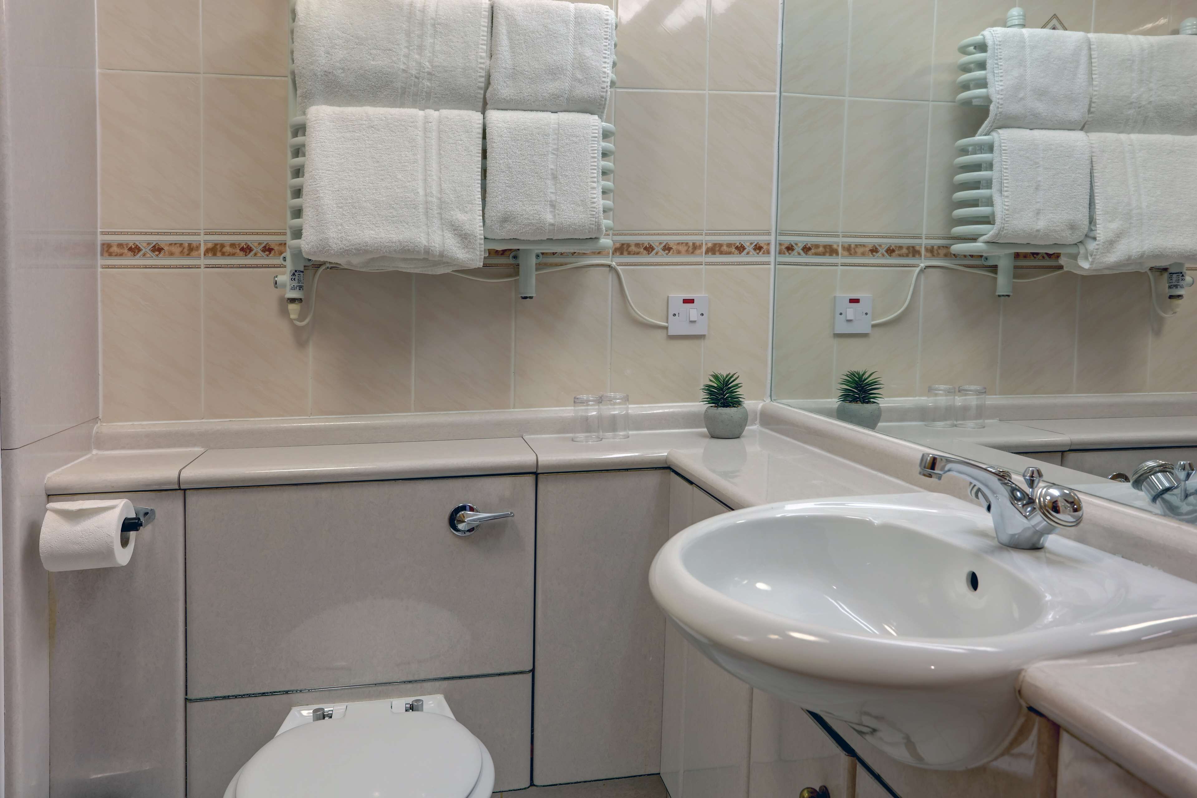 Baño con inodoro, lavamanos, toallero y una pequeña planta en maceta.