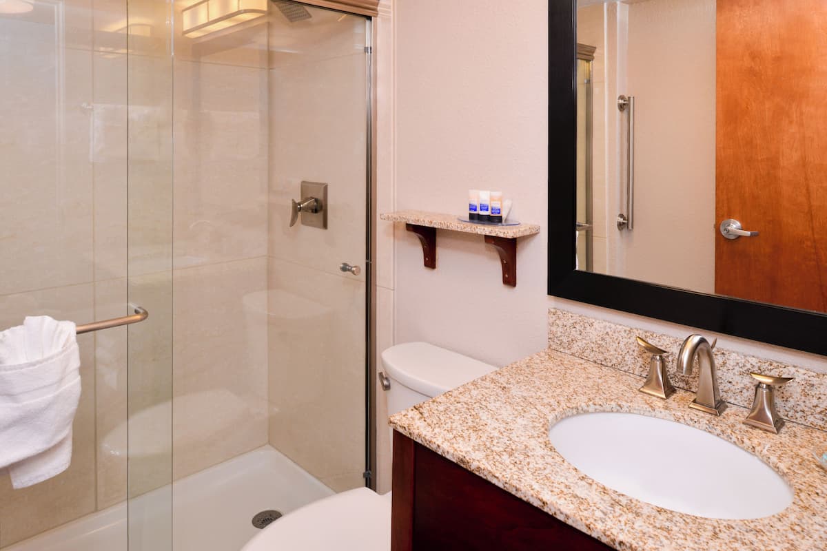 rainfall showerhead, free toiletries, hair dryer, towels