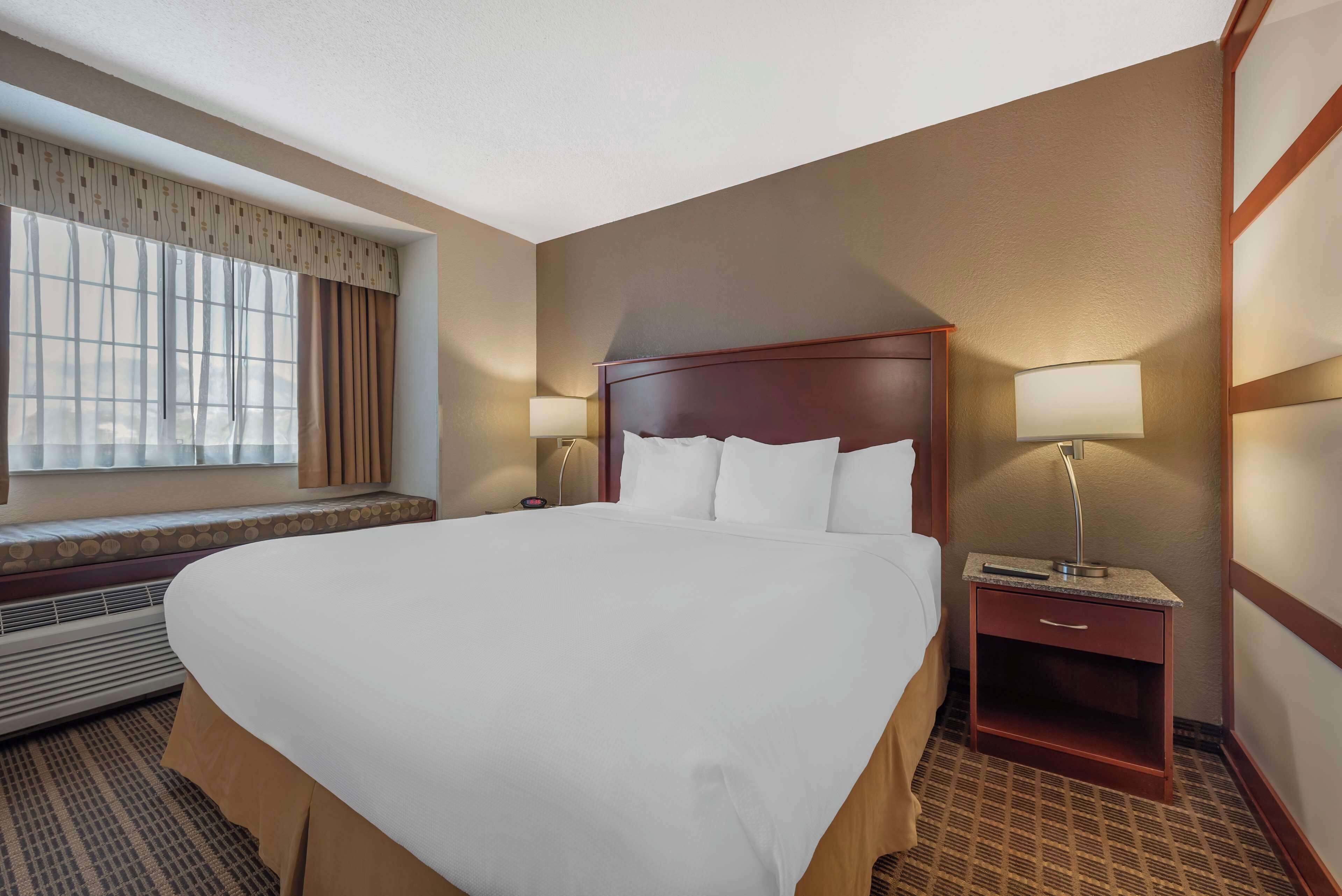 A hotel room with a large bed, a bedside table with a lamp, a window with curtains, and a wall-mounted heater.