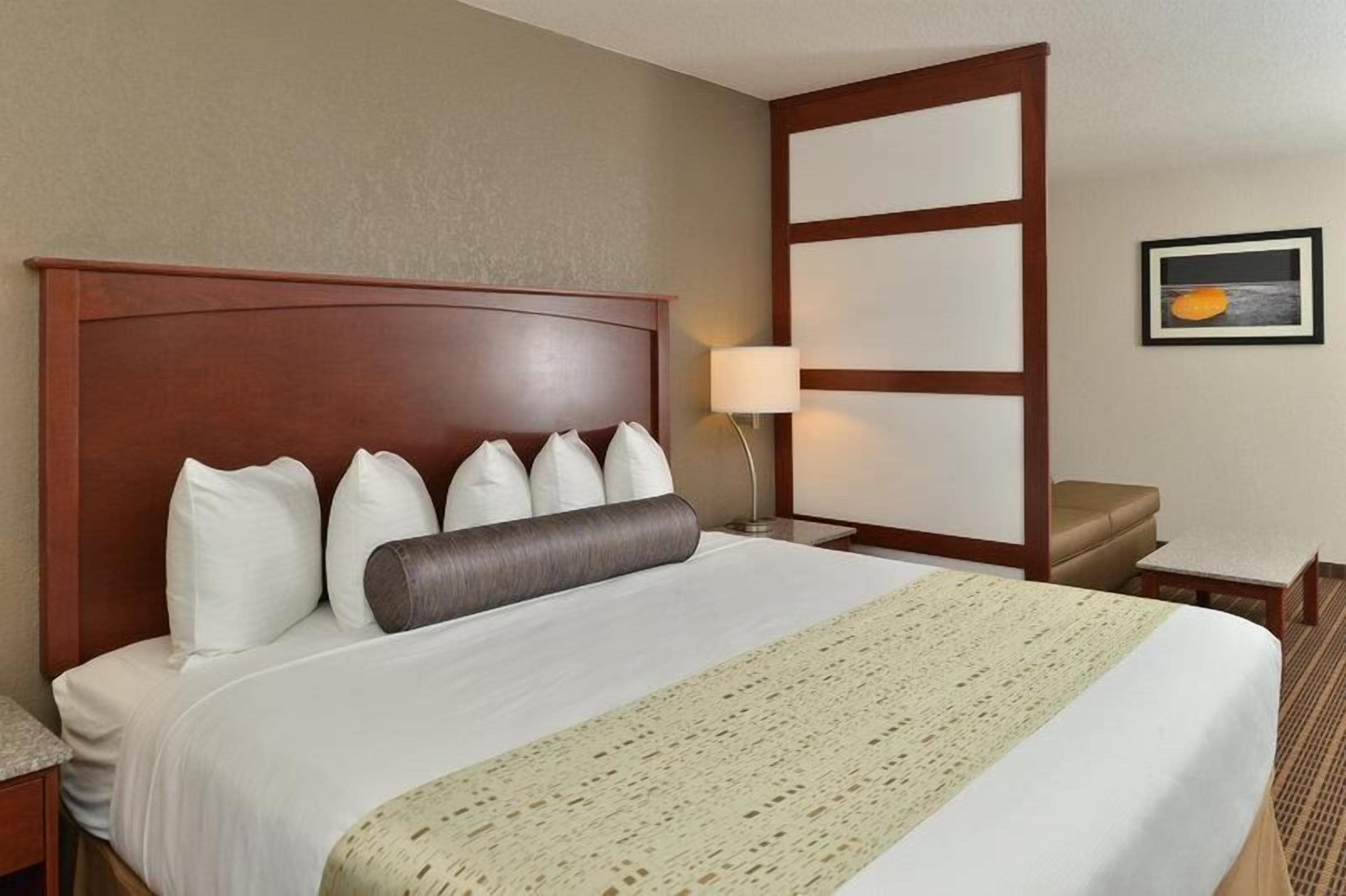 suite, 1 king bed, accessible, refrigerator & microwave | blackout curtains, soundproofing, iron/ironing board