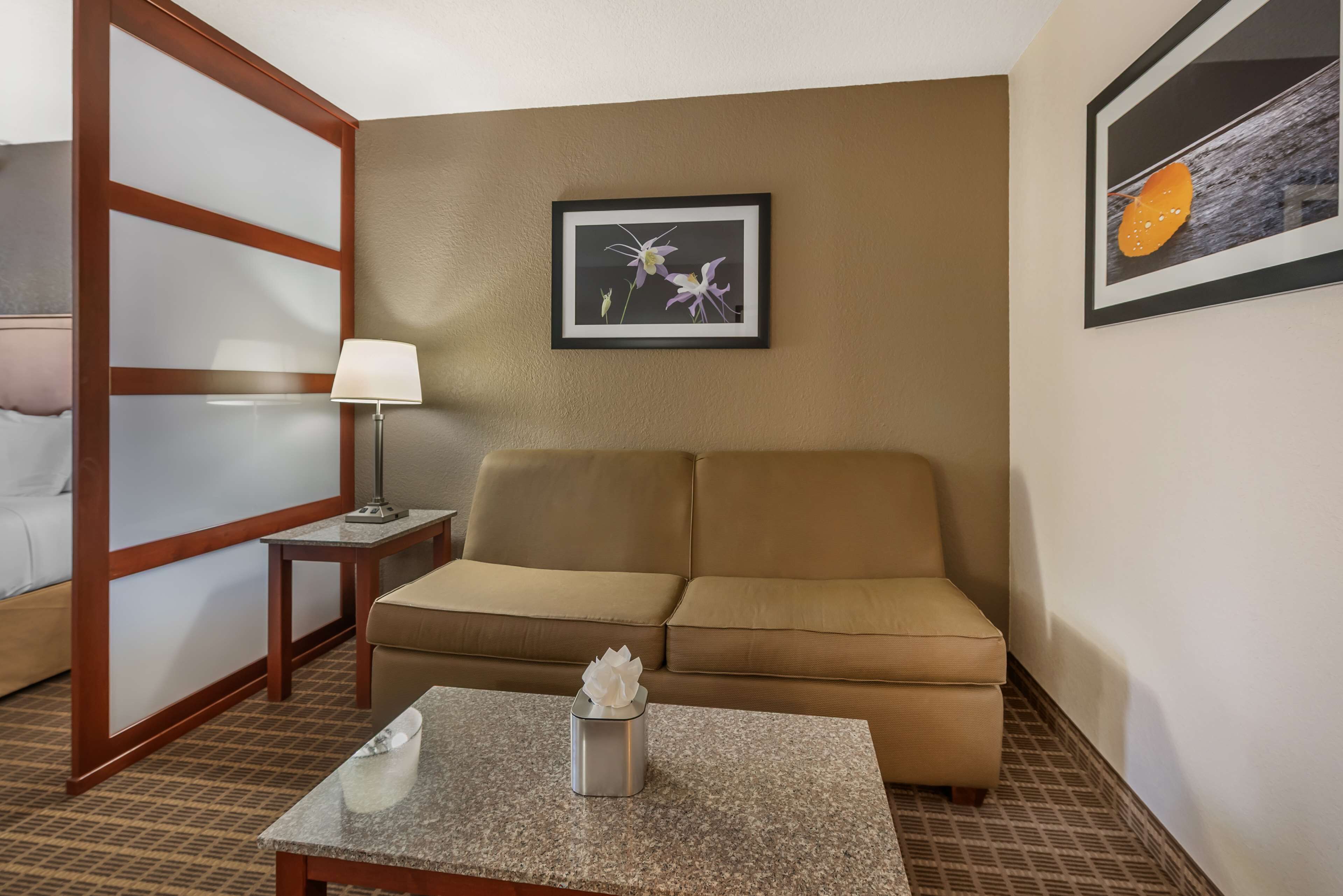 blackout curtains, soundproofing, iron/ironing board