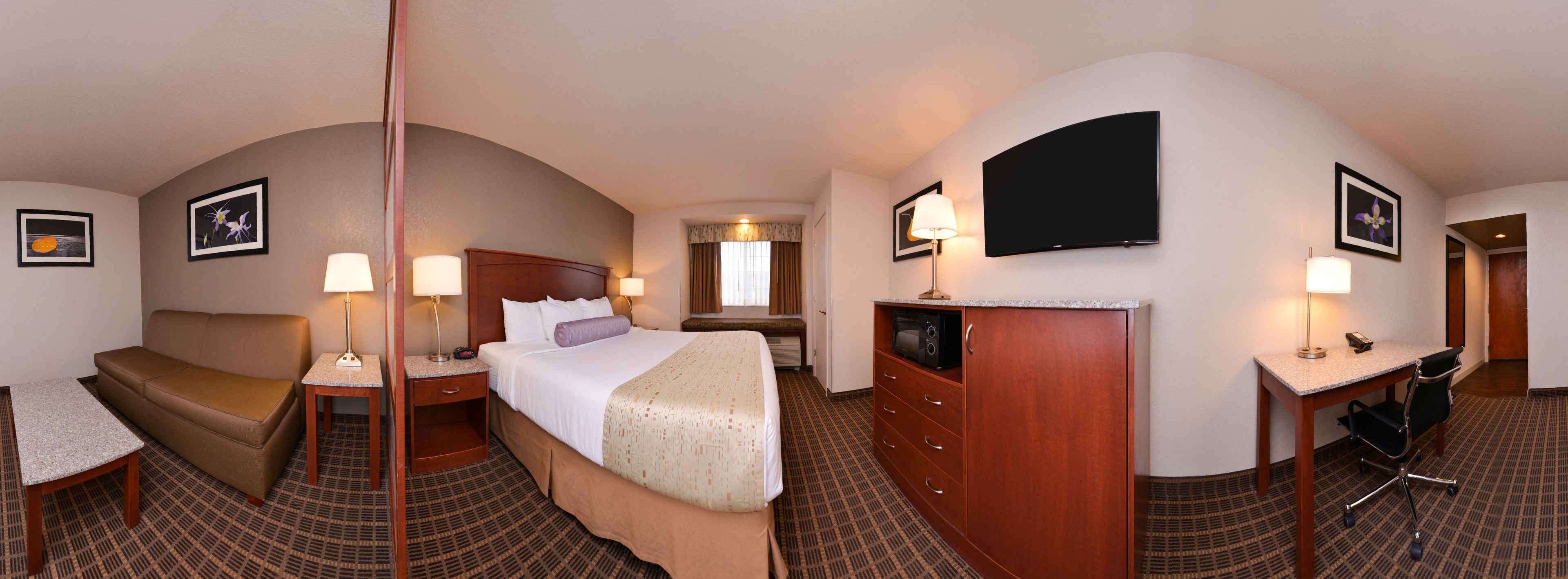 A hotel room with a bed, a desk, a chair, a TV, and a sofa.