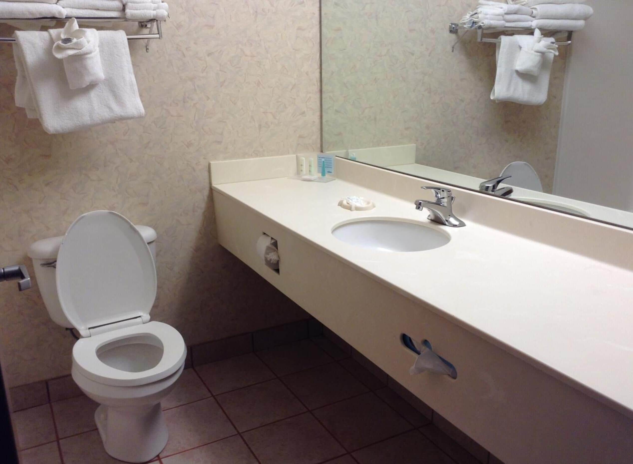 A bathroom with a toilet, sink, and towel rack.