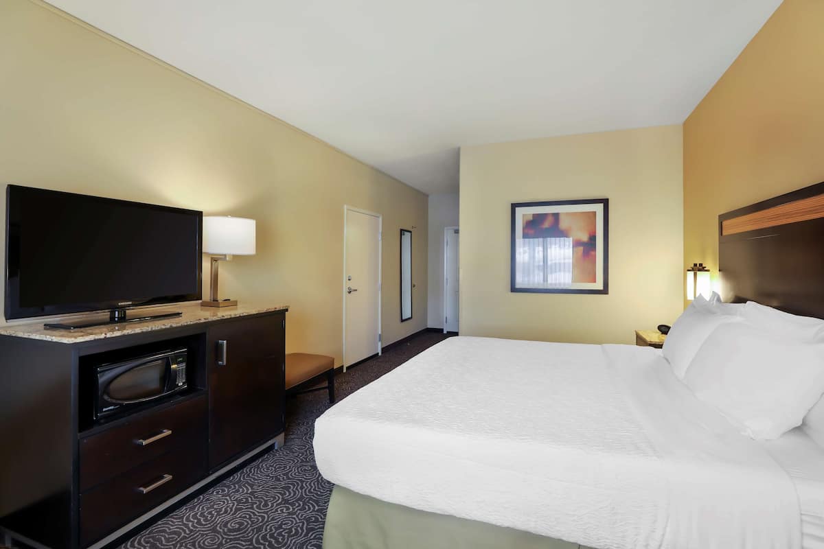 A hotel room with a bed, a television, a microwave, a desk, and a framed picture on the wall.