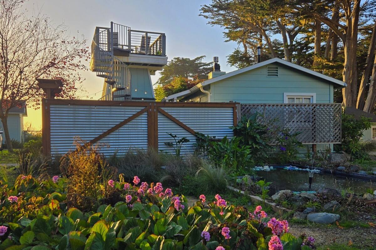 A residential property with a fenced yard, a small pond, and flowering plants.